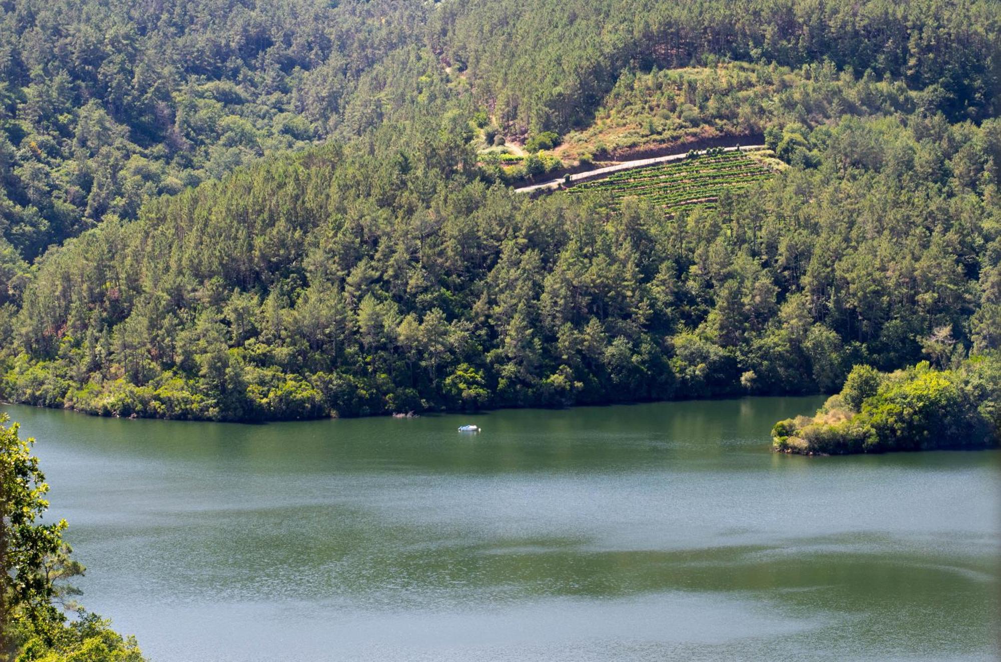 Ecolagar O Barqueiro Villa Pantón